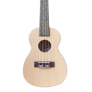 AU01L-23 – Ukulele Concierto Académico Persian (23”)