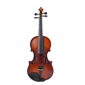 Violín Académico Aileen VG107B 4/4