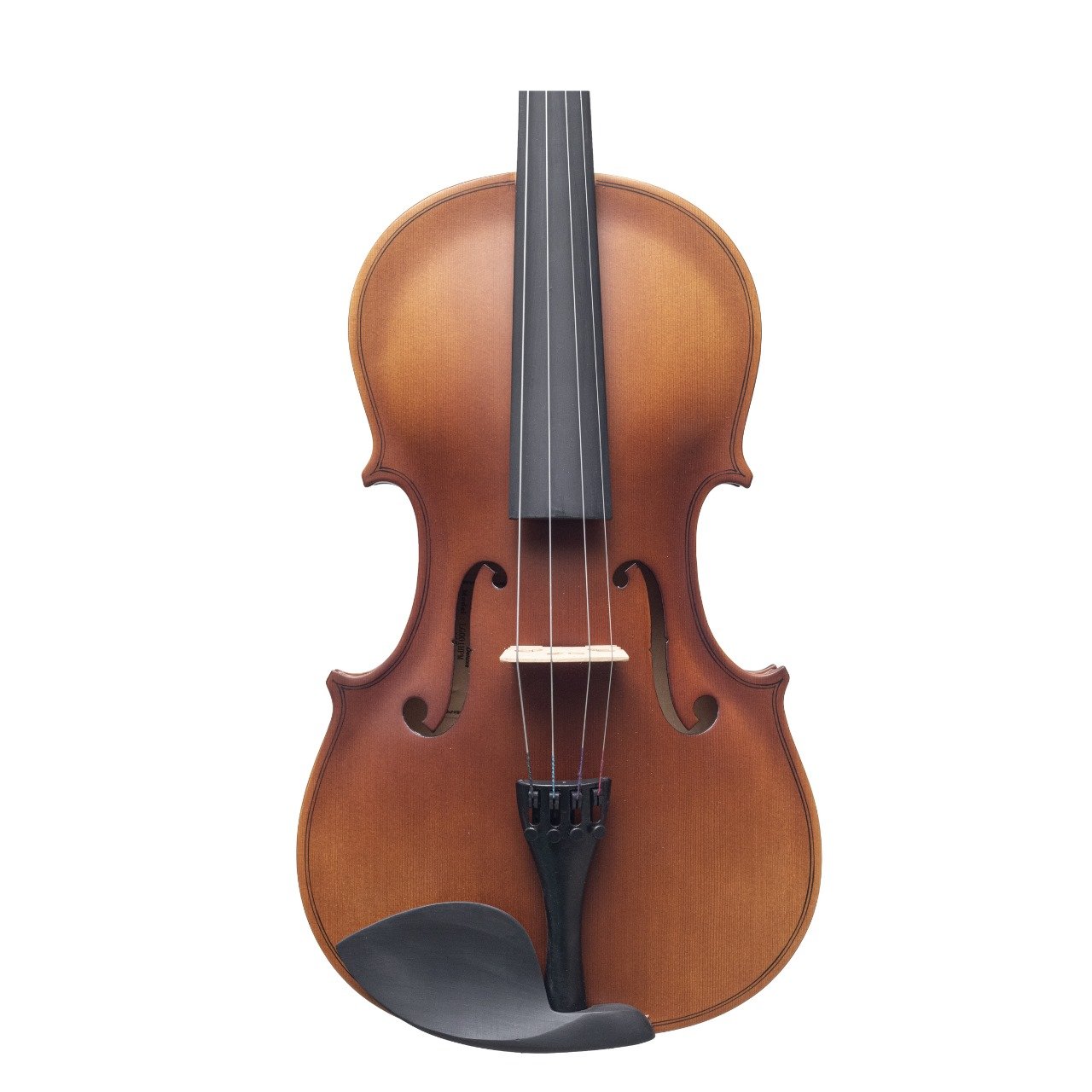 Viola Académica Aileen LG001-HPM — 14”, 15” y 16” - Image 4