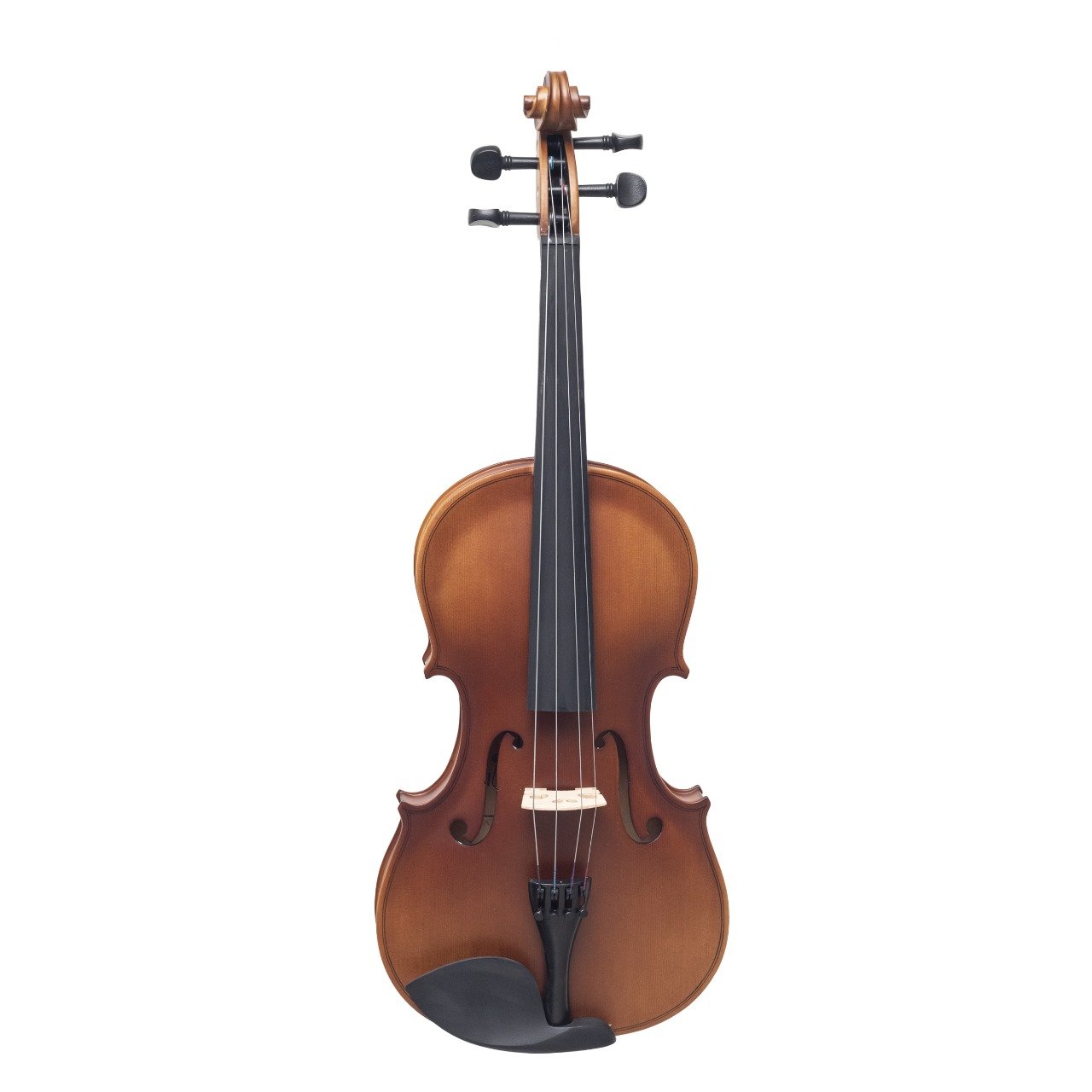Viola Académica Aileen LG001-HPM — 14”, 15” y 16”